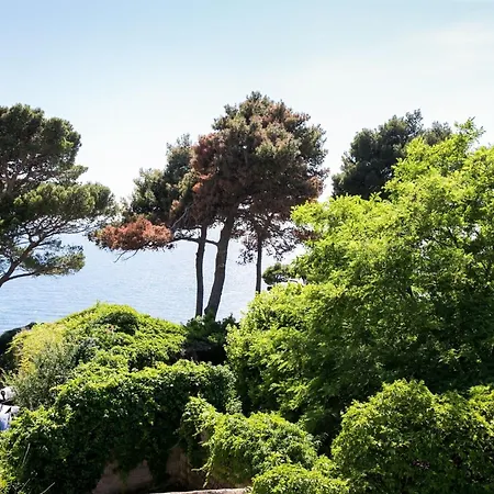 Apartamento Harlekin- One-bedroom With Sea View